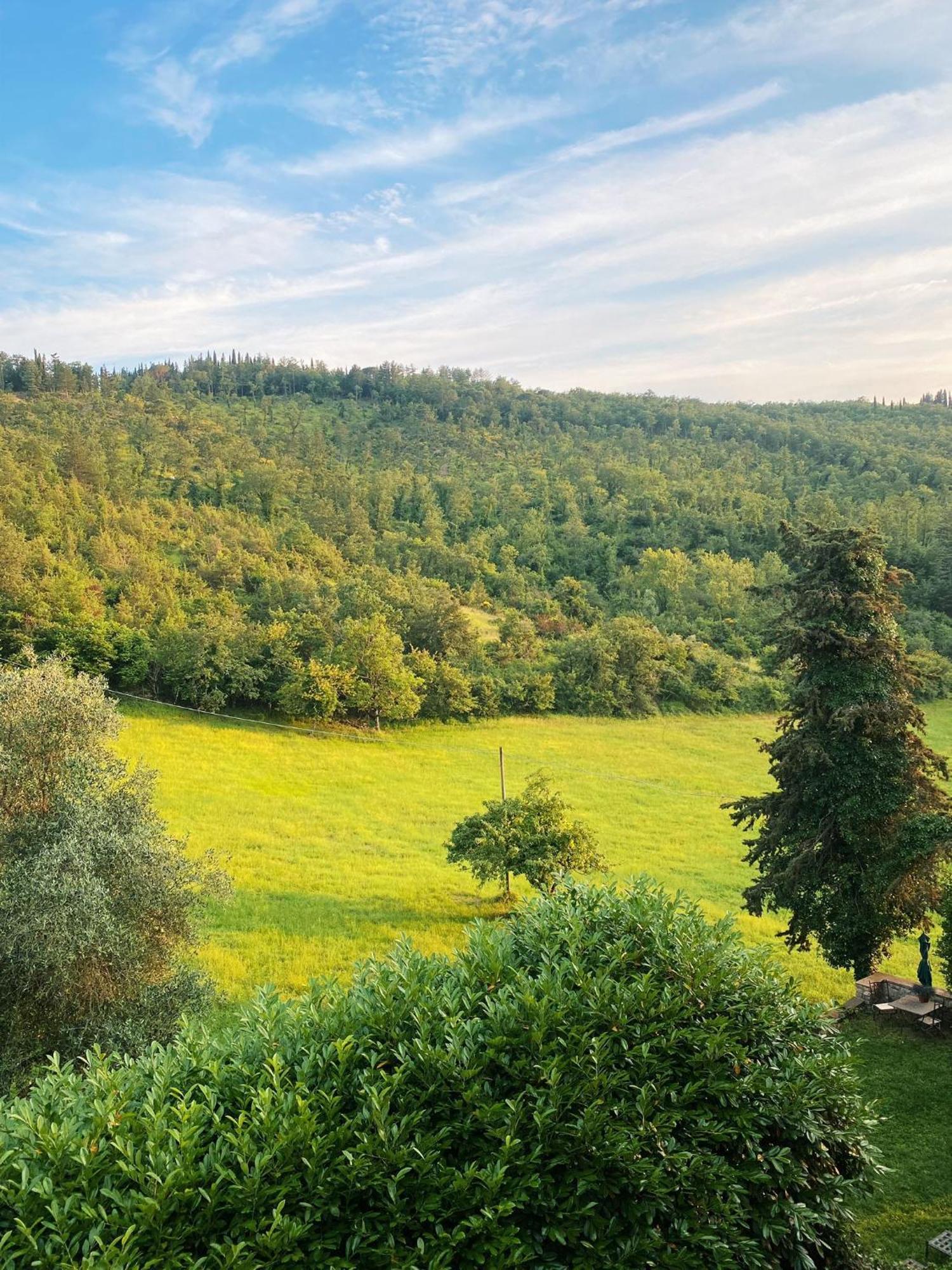 Tenuta Di San Giusto In Salcio Διαμέρισμα Gaiole in Chianti Εξωτερικό φωτογραφία